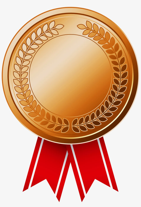 Bronze Level